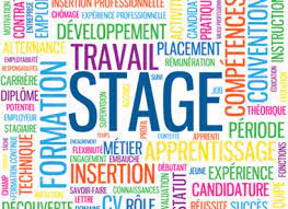 Course Image TV41GER - Stage - 5 mois - : Rapport et soutenance